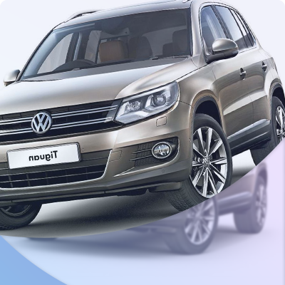Car Rentals