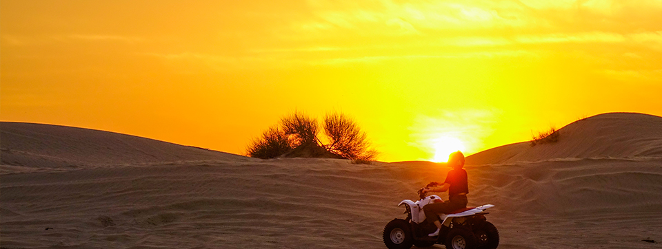 Dune Bashing UAE