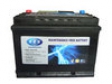 Din Dry Charge & Maintenance Free Auto Battery